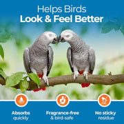 Aloe Vera Bird Spray – Soothing Feather & Skin Mist, 8oz
