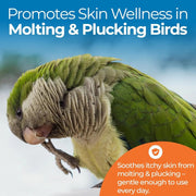 Aloe Vera Bird Spray – Soothing Feather & Skin Mist, 8oz