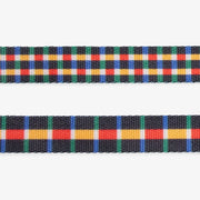 Travis | Leash