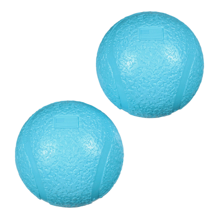 West Paw Small Boundr 2-Pack Aqua