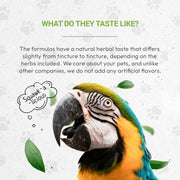 Secrets Of The Tribe Bird's Calming Herbal Blend