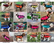 CoyoteVest - Pristine Pet Supply