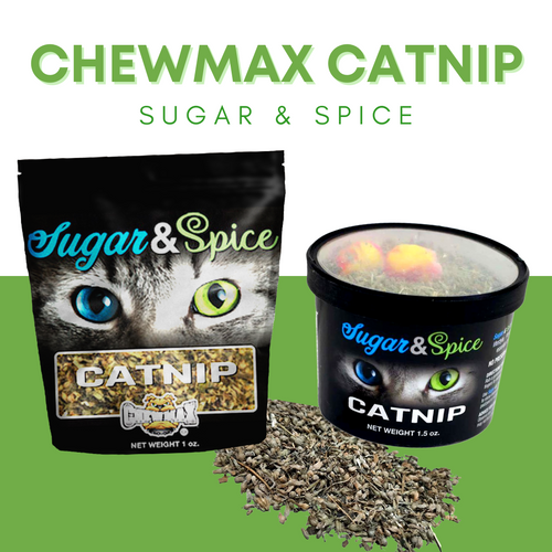 1 oz Catnip Bag