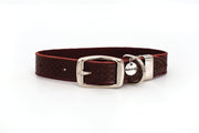 Euro-Dog Celtic Double Buckle Style Leather Dog Collar