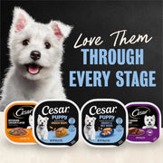 Cesar Puppy Classic Wet Dog Food Chicken & Beef or Variety Pack 3.5oz 24ct
