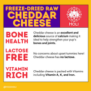 Cheddar Cheese Dog Treats - Freeze Dried - Single Ingredient - Pristine Pet Supply
