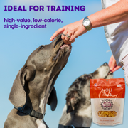 Cheddar Cheese Dog Treats - Freeze Dried - Single Ingredient - Pristine Pet Supply