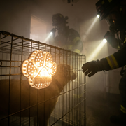 Rescue Retriever™ Pet Smoke Detector – Designed by a Firefighter to Save Your Pet