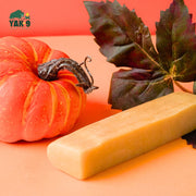 Yak9 Chews Pumpkin Yak Chews for Dogs