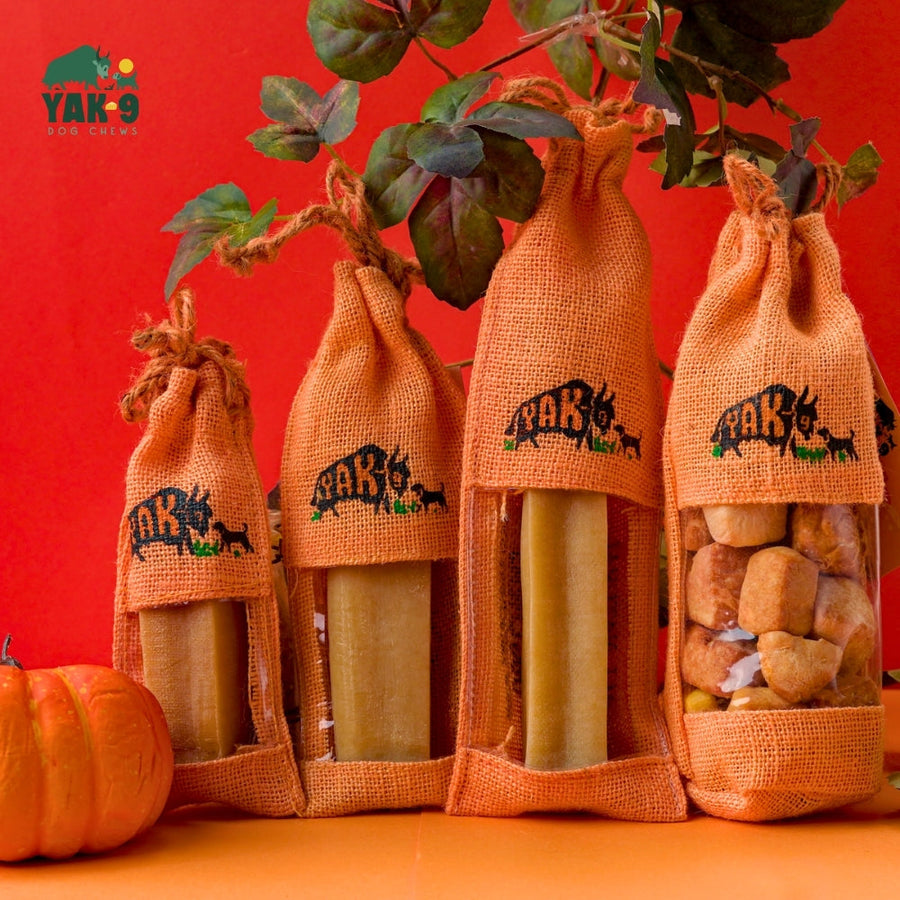 Yak9 Chews Pumpkin Yak Chews for Dogs