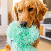 Helga - Pristine Pet Supply