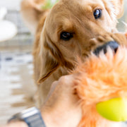 Olaf - Pristine Pet Supply