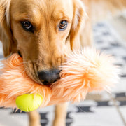 Olaf - Pristine Pet Supply