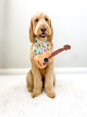 PUPROAR Guitar Plush Squeaky Dog Toy with Crinkle – Approx. 13.5 in