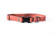 Euro-Dog Sport Style Leather Dog Collar