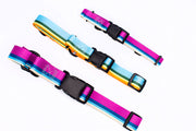 Euro-Dog Outdoor Style All Nylon Martingale Collar