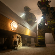 Rescue Retriever™ Pet Smoke Detector – Designed by a Firefighter to Save Your Pet