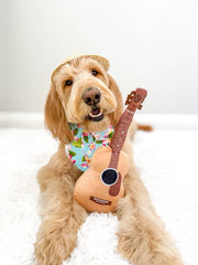 PUPROAR Guitar Plush Squeaky Dog Toy with Crinkle – Approx. 13.5 in