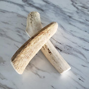 The Pet Gourmet Large Whole Elk Antler Dog Chew