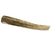 The Pet Gourmet Large Whole Elk Antler Dog Chew