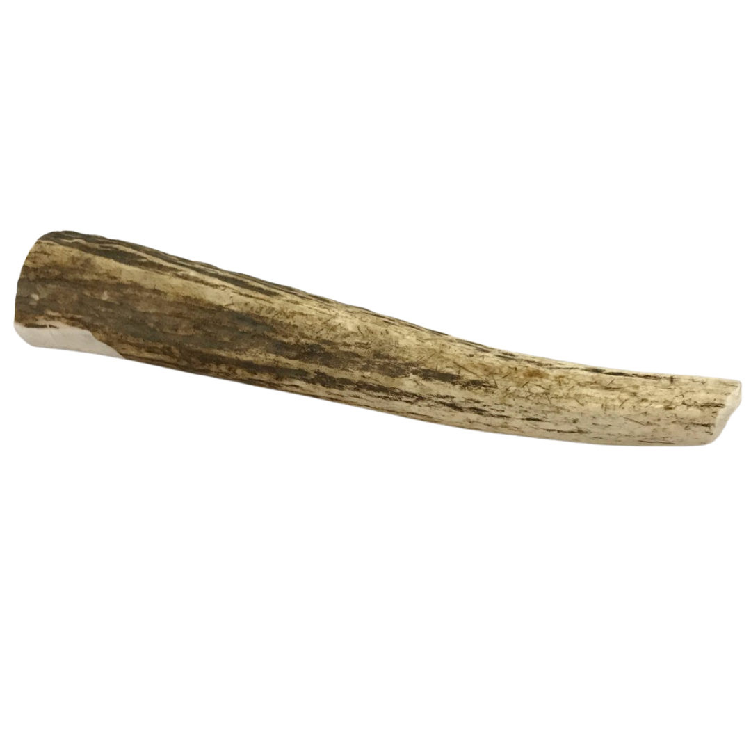 The Pet Gourmet Large Whole Elk Antler Dog Chew