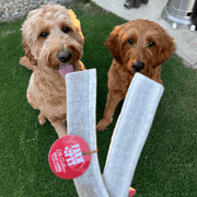 Elk Antler Dog Chews | All-Natural Whole and Split Elk Antler Chews for Dogs - Pristine Pet Supply