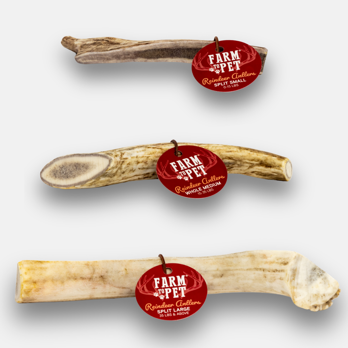 Farm To Pet Reindeer Antler Dog Chews – Organic Chews for Dogs