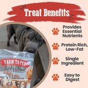 Turkey Feast Chips - Pristine Pet Supply