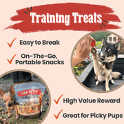 Turkey Feast Chips - Pristine Pet Supply