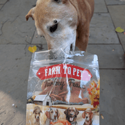 Turkey Feast Chips - Pristine Pet Supply
