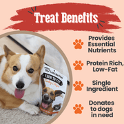 Live Like Roo Turkey Chips for Dogs | Dog Treats That Give Back - Pristine Pet Supply