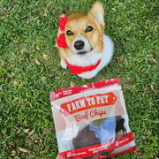 Beef Chips Snack Pack Bundles | Dog Treats for Training & Travel - Pristine Pet Supply