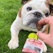 Beef Chips Snack Pack Bundles | Dog Treats for Training & Travel - Pristine Pet Supply