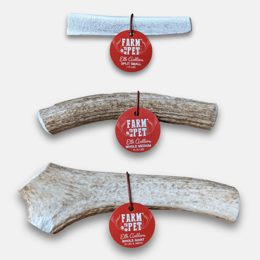 Elk Antler Dog Chews | All-Natural Whole and Split Elk Antler Chews for Dogs - Pristine Pet Supply
