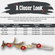 Deer Antler Dog Chews | Organic Chews for Dogs - Pristine Pet Supply