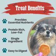 Fish Chips Snack Pack Bundles | Dog Treats for Training & Travel