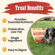 Chicken Chips for Dogs | All-Natural Single-Ingredient Dog Treats - Pristine Pet Supply