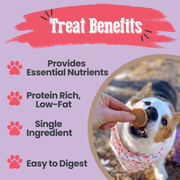 Puppy Love Dog Treat Duo | Poultry Chip Variety Pack - Pristine Pet Supply