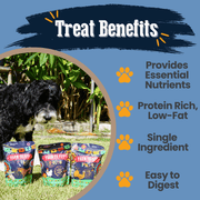 Premios Para Perros Fiesta Pack | Dog Treat Variety Bundle - Pristine Pet Supply