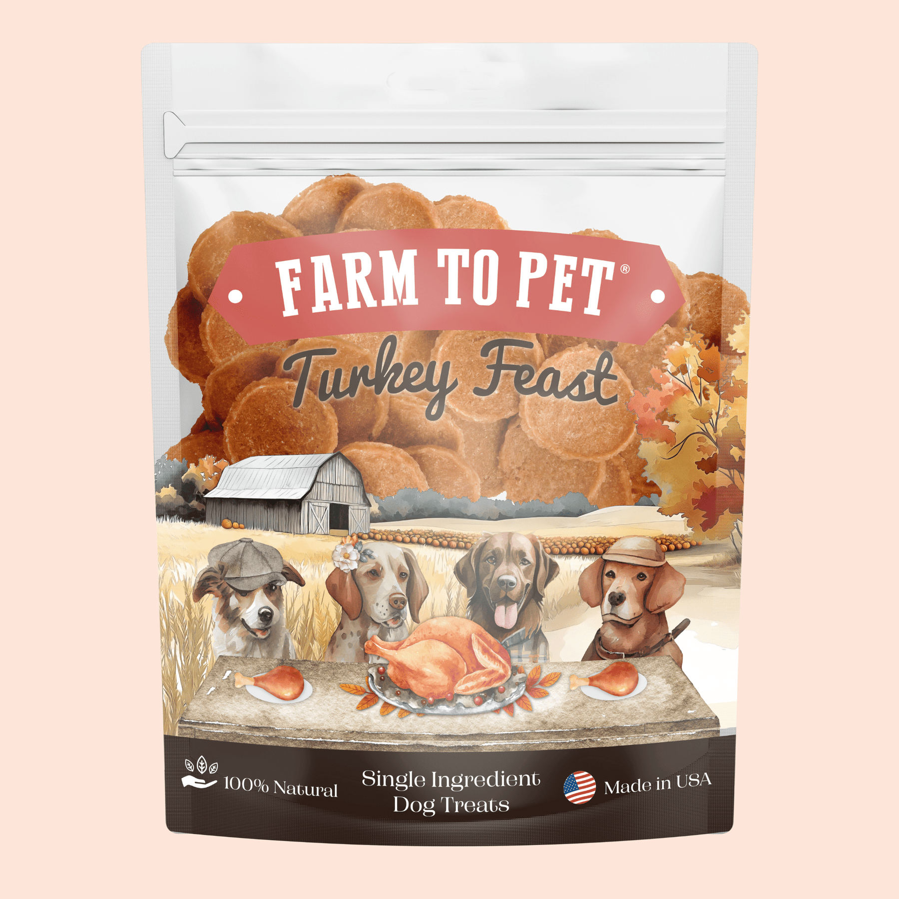 Turkey Feast Chips - Pristine Pet Supply