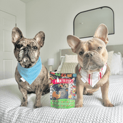 Premios Para Perros Fiesta Pack | Dog Treat Variety Bundle - Pristine Pet Supply