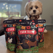 Premios Para Perros Fiesta Pack | Dog Treat Variety Bundle - Pristine Pet Supply