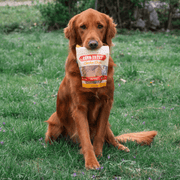 Chicken Chips for Dogs | All-Natural Single-Ingredient Dog Treats - Pristine Pet Supply