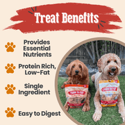 Turkey & Chicken Chip Dog Treat Duo | Single-Ingredient Poultry Treats for Dogs - Pristine Pet Supply