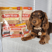 Turkey & Chicken Chip Dog Treat Duo | Single-Ingredient Poultry Treats for Dogs - Pristine Pet Supply
