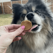 Fish Chips for Dogs | Wild-Caught Fish Dog Treats - Pristine Pet Supply