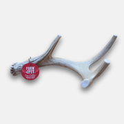 Deer Antler Dog Chews | Organic Chews for Dogs - Pristine Pet Supply