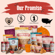 Turkey Feast Chips - Pristine Pet Supply