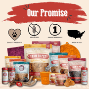 Turkey & Chicken Chip Dog Treat Duo | Single-Ingredient Poultry Treats for Dogs - Pristine Pet Supply