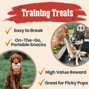 Turkey & Chicken Chip Dog Treat Duo | Single-Ingredient Poultry Treats for Dogs - Pristine Pet Supply